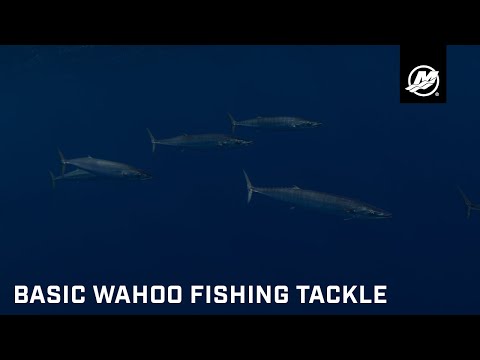 Wahoo Fishing Tips With Mike Genoun