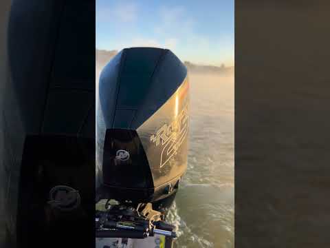 The calm before the roar! – Engines.com