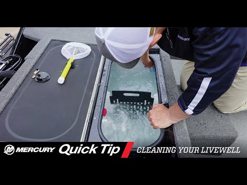 Quick Tip: How to Clean Your Livewell