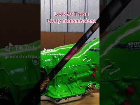 Are You Ready?!! #foryoupage #fyp #foryourpage #transmissions #funny #viral #foryou #trending