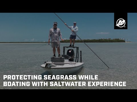 Protecting Seagrass While Boating with Saltwater Experience