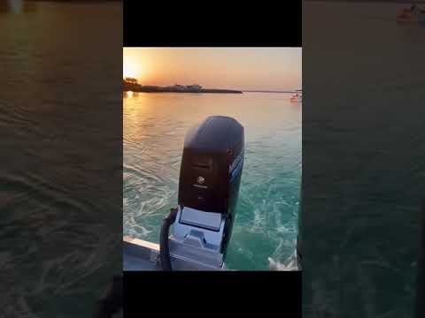 Morning or evening - which do you prefer?