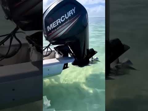 Going anywhere beautiful this year?