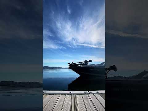 What was the highlight of your weekend?