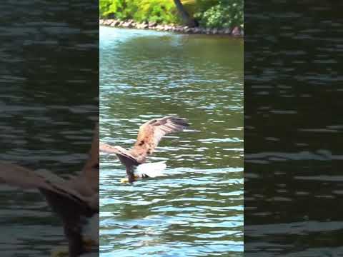 Catching anything this week?