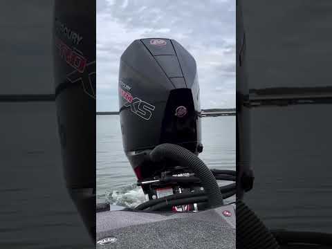 Merc starts make happy hearts!