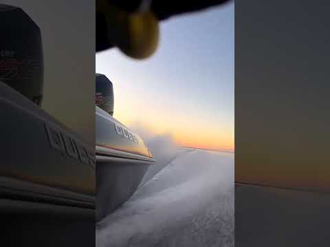 Go anywhere fun over the weekend?