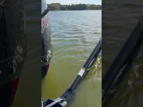 Mercury Pro Team member Ronnie Green talks his five must-haves on the water!