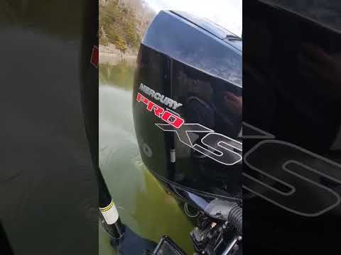 Catch 'em all on a Wednesday!