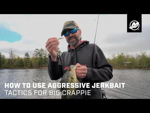 How to Use Aggressive Jerkbait Tactics for Big Crappie