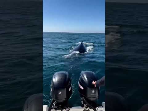 Make any friends over the weekend?