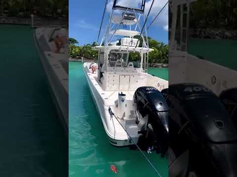 Go Boldly this week.