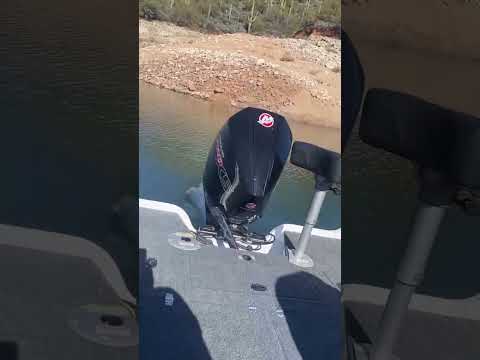 Get the day started right!