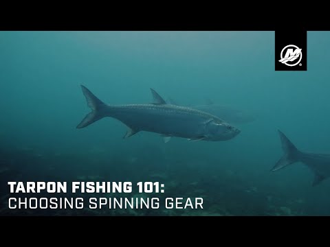 Tarpon Fishing 101: Choosing Spinning Gear