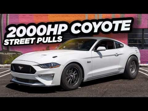 2000HP Coyote BEATS Lambo & GTR on the STREET! (FFRE Coyote Mustang Ridealong)