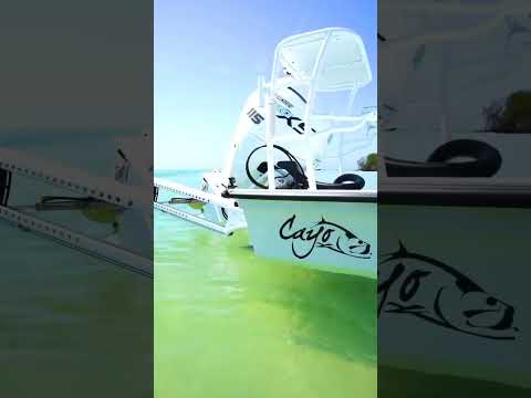 Does the color of your PFDs match your Merc?