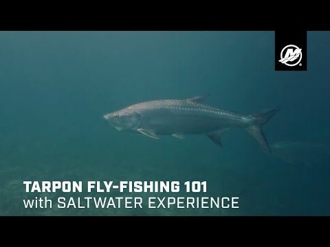 Tarpon Fly-Fishing 101 with Saltwater Experience
