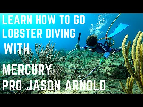 Learn How To Go Lobster Diving With Mercury Pro Jason Arnold