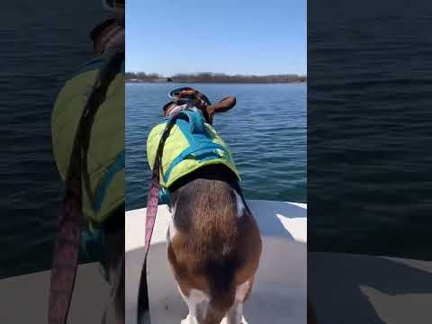 Are you always this excited to be on the water?