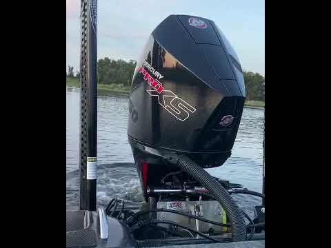 If that doesn't wake you up, nothing will!