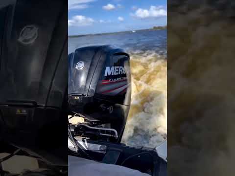 Tuesdays can be fun!