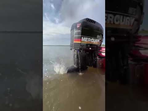 Do you love the classics?