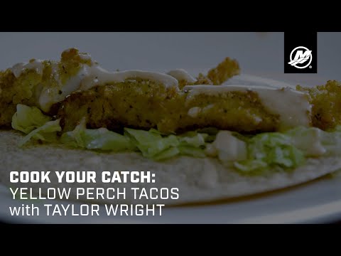 Cook Your Catch: Yellow Perch Tacos with Taylor Wright