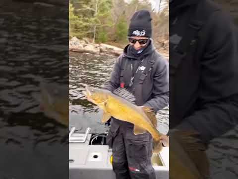 How are they biting near you?