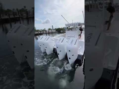 THAT is how you start a week!