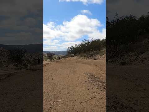 #pov You're going for a leaderboard spot in Rally Speed Run