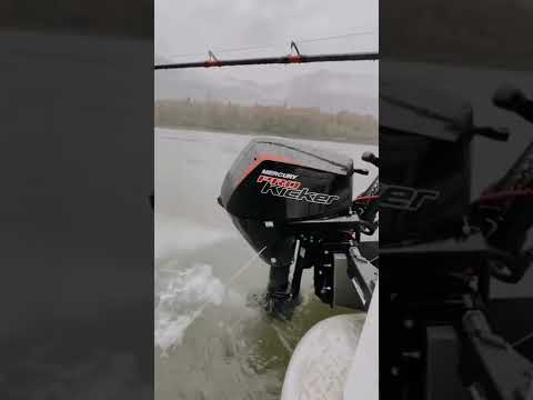 Having a slow Monday?