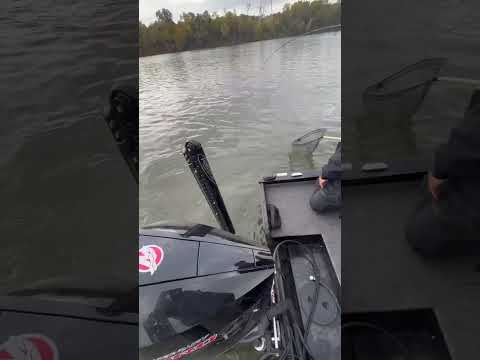 It's Friday. Go fish!