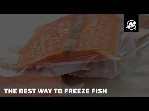 The Best Way to Freeze Fish