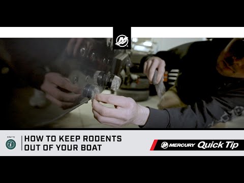 Quick Tip: How to Keep Rodents Out of Your Boat