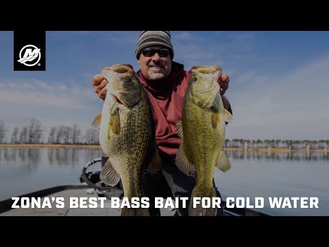 Zona’s Best Bass Bait for Cold Water