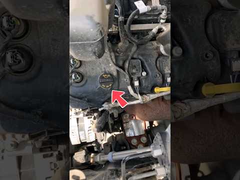 How to replace engine Oil and Filter Ford F150